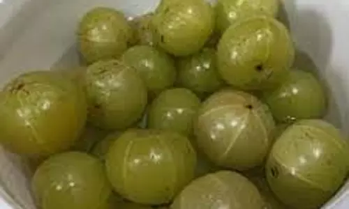 Amla Health Benefits: शरीर को जबरदस्त फायदा देता है स्टीम आंवला Amla Health Benefits: शरीर को जबरदस्त फायदा देता है स्टीम आंवला