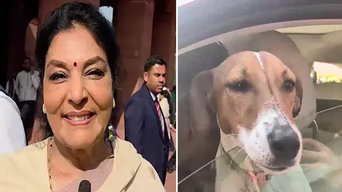 Renuka Chowdhury ने संसद में कुत्तों की अहमियत बताई, पूजा में उनका स्थान बताया Renuka Chowdhury ने संसद में कुत्तों की अहमियत बताई, पूजा में उनका स्थान बताया