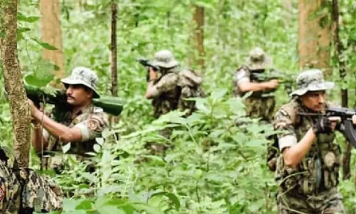 भैरमगढ़ में नक्सलियों के मारे जाने की खबर