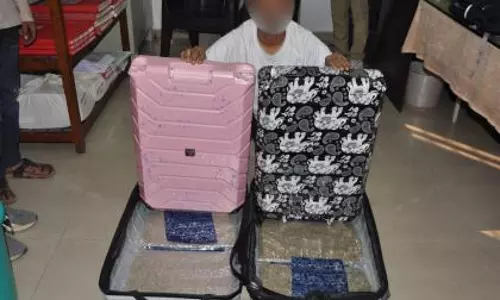 ₹3.10 करोड़ की हाइड्रोपोनिक वीड पकड़ी गई, इंटरनेशनल पैसेंजर गिरफ्तार ₹3.10 करोड़ की हाइड्रोपोनिक वीड पकड़ी गई, इंटरनेशनल पैसेंजर गिरफ्तार