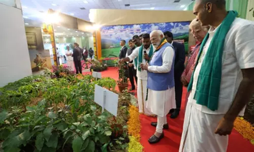 PM मोदी का संदेश: प्राकृतिक खेती से कृषि को अधिक उत्पादक और सतत बनाएंगे PM मोदी का संदेश: प्राकृतिक खेती से कृषि को अधिक उत्पादक और सतत बनाएंगे