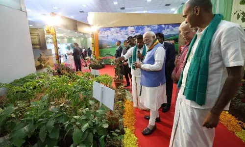 PM मोदी ने प्राकृतिक खेती को बढ़ावा देने और स्थायी कृषि पर ज़ोर दिया