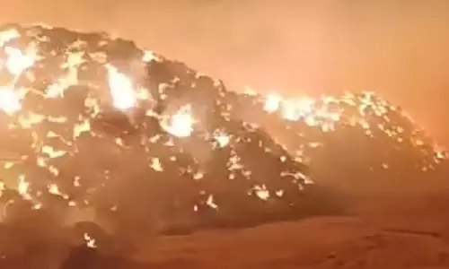 Bikaner: बायोमास प्लांट में आग, सुरक्षा प्रयासों से बची जान