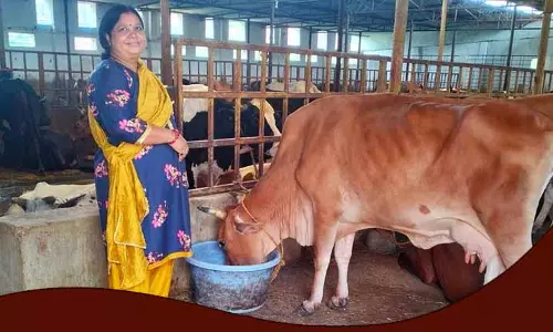 ओडिशा में 10.9 लाख किसान डेयरी फार्मिंग से जुड़े हैं: Minister ओडिशा में 10.9 लाख किसान डेयरी फार्मिंग से जुड़े हैं: Minister
