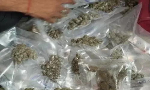 Delhi पुलिस की बड़ी कार्रवाई: ड्रग नेटवर्क से 51.5 किलो गांजा और कैश जब्त Delhi पुलिस की बड़ी कार्रवाई: ड्रग नेटवर्क से 51.5 किलो गांजा और कैश जब्त