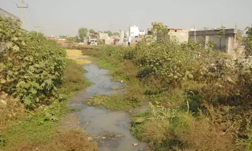 Amritsar: तेजी से शहरीकरण, बेतहाशा कमर्शियलाइजेशन मजीठा के लिए अभिशाप Amritsar: तेजी से शहरीकरण, बेतहाशा कमर्शियलाइजेशन मजीठा के लिए अभिशाप