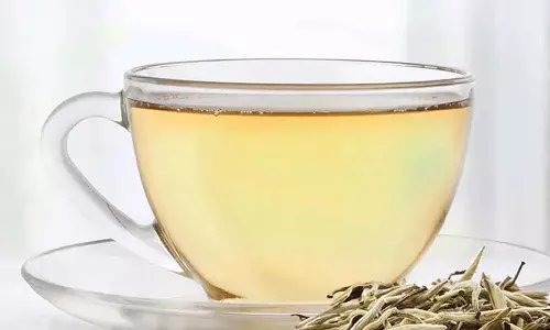 क्या आप white tea के बारे में जानते हैं? इसे पीने से कई अद्भुत फ़ायदे हो सकते हैं क्या आप white tea के बारे में जानते हैं? इसे पीने से कई अद्भुत फ़ायदे हो सकते हैं