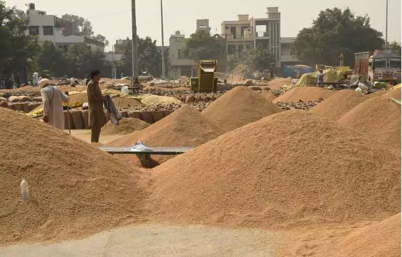 Kaithal डेडलाइन के बाद भी खरीद, विभाग ने 1.43 करोड़ रुपये का पेमेंट रोका Kaithal डेडलाइन के बाद भी खरीद, विभाग ने 1.43 करोड़ रुपये का पेमेंट रोका