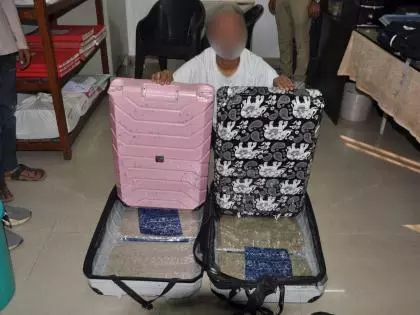 ₹3.10 करोड़ की हाइड्रोपोनिक वीड पकड़ी गई, इंटरनेशनल पैसेंजर गिरफ्तार ₹3.10 करोड़ की हाइड्रोपोनिक वीड पकड़ी गई, इंटरनेशनल पैसेंजर गिरफ्तार