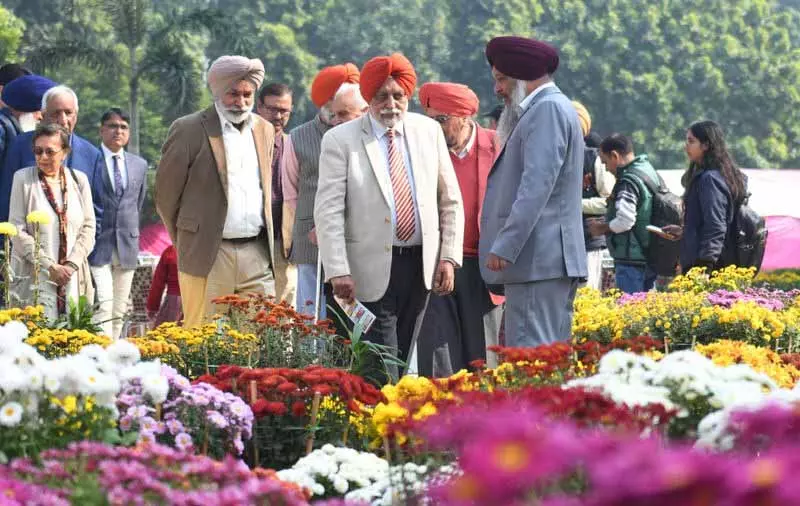 Punjab एग्रीकल्चरल यूनिवर्सिटी में दो दिन का गुलदाउदी शो शुरू हुआ Punjab एग्रीकल्चरल यूनिवर्सिटी में दो दिन का गुलदाउदी शो शुरू हुआ