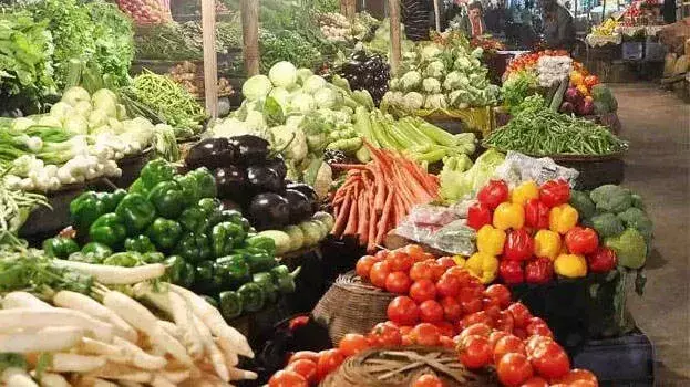 kerala: कीमतों में बदलाव लागू नहीं हुआ, सपोर्ट प्राइस से किसानों को मदद नहीं मिल रही kerala: कीमतों में बदलाव लागू नहीं हुआ, सपोर्ट प्राइस से किसानों को मदद नहीं मिल रही