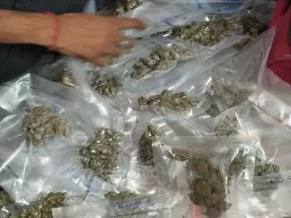 Delhi पुलिस की बड़ी कार्रवाई: ड्रग नेटवर्क से 51.5 किलो गांजा और कैश जब्त Delhi पुलिस की बड़ी कार्रवाई: ड्रग नेटवर्क से 51.5 किलो गांजा और कैश जब्त