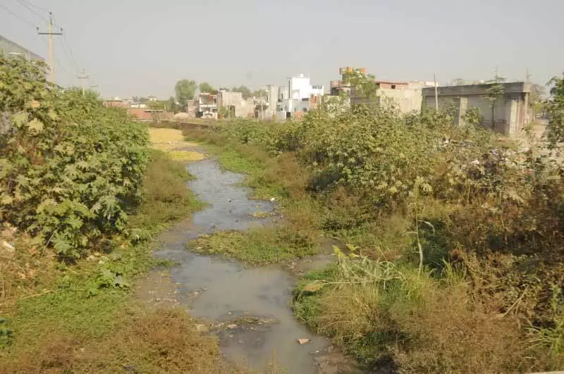 Amritsar: तेजी से शहरीकरण, बेतहाशा कमर्शियलाइजेशन मजीठा के लिए अभिशाप Amritsar: तेजी से शहरीकरण, बेतहाशा कमर्शियलाइजेशन मजीठा के लिए अभिशाप