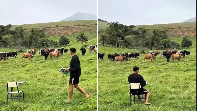 गायों को नाम से पुकारा शख्स ने, मिला प्यारा सा जवाब, देखें वायरल VIDEO गायों को नाम से पुकारा शख्स ने, मिला प्यारा सा जवाब, देखें वायरल VIDEO