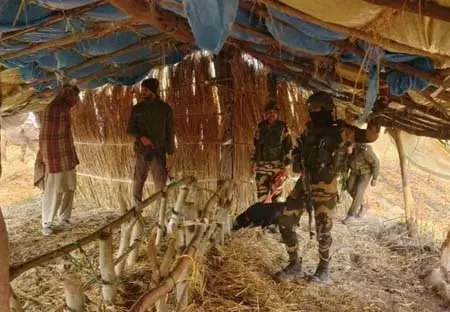 जम्मू: बीएसएफ ने पुलिस के साथ चलाया सर्च अभियान, सीमा सुरक्षा को मजबूत बनाना लक्ष्य जम्मू: बीएसएफ ने पुलिस के साथ चलाया सर्च अभियान, सीमा सुरक्षा को मजबूत बनाना लक्ष्य