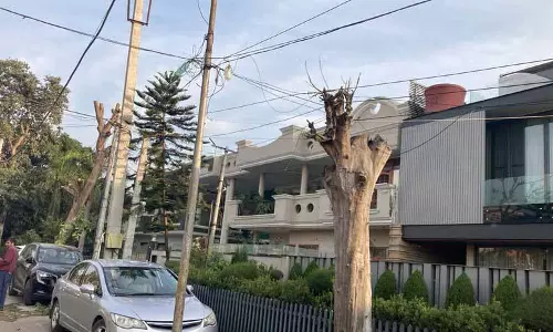 पेड़ों की कटाई, कार्यकर्ताओं ने CM को पत्र लिखकर कार्रवाई की मांग की पेड़ों की कटाई, कार्यकर्ताओं ने CM को पत्र लिखकर कार्रवाई की मांग की