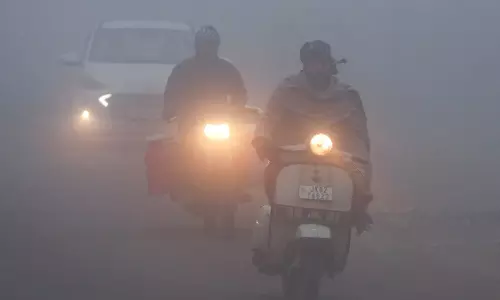 Haryana: शीतलहर का असर, हरियाणा के चार जिलों में अलर्ट