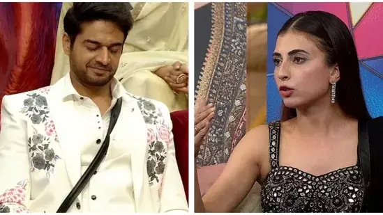 Bigg Boss 19 फाइनल प्रेडिक्शन: ट्रॉफी के लिए टॉप 3 कंटेंडर हैं कौन