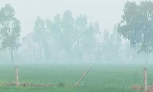 Odisha में शीत लहर की पकड़ मजबूत होने से पारा और गिरेगा