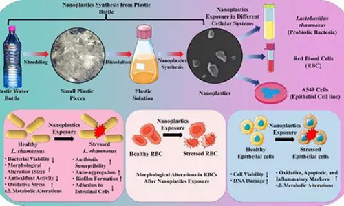 सिंगल यूज प्लास्टिक से शरीर को होने वाले नुकसान के मिले सबूत सिंगल यूज प्लास्टिक से शरीर को होने वाले नुकसान के मिले सबूत