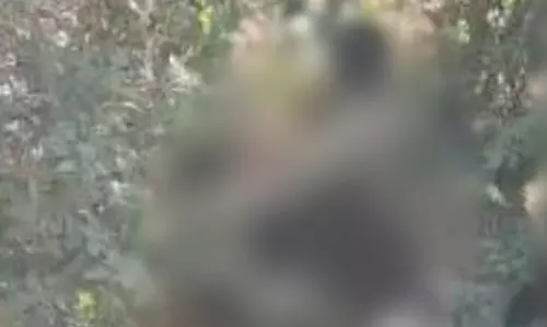 बेजुबान के साथ गंदी हरकत, बिलासपुर पुलिस से कार्रवाई की मांग