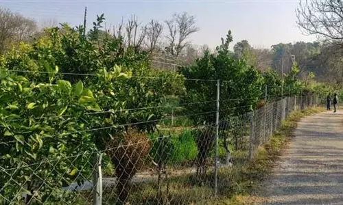 सरकार Ladhowal में एडवांस्ड हॉर्टिकल्चर रिसर्च सेंटर बनाएगी