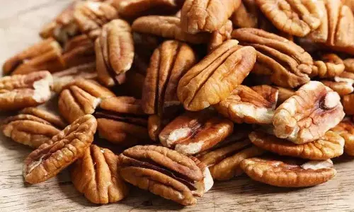 क्या आपने कभी pecan nuts के बारे में सुना है? इन्हें रोज़ खाने से कई कमाल के फ़ायदे हो सकते हैं! क्या आपने कभी pecan nuts के बारे में सुना है? इन्हें रोज़ खाने से कई कमाल के फ़ायदे हो सकते हैं!