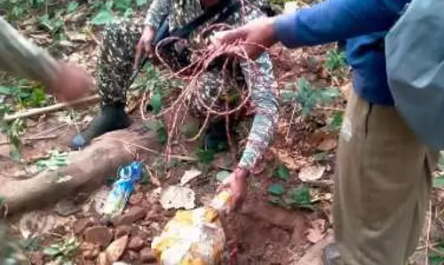 नारायणपुर में IED बमों को जवानों ने किया डिफ्यूज नारायणपुर में IED बमों को जवानों ने किया डिफ्यूज