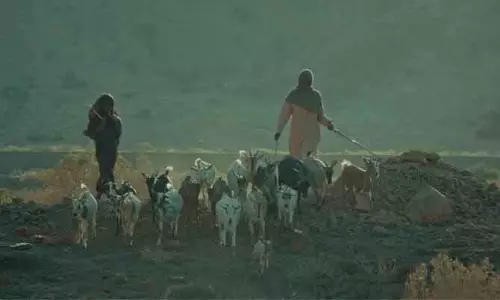 रेड सी फिल्म फेस्टिवल में ‘Hijra पहचान और आज़ादी की तलाश की कहानी रेड सी फिल्म फेस्टिवल में ‘Hijra पहचान और आज़ादी की तलाश की कहानी