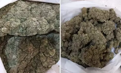 Bangkok से आए यात्रियों से बड़ी मात्रा में ड्रग्स जब्त, एयरपोर्ट पर बड़ी कार्रवाई