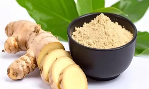 सामान्य हल्दी से काफी ज्यादा गुणकारी अम्बा हल्दी, आयुर्वेद में औषधि नाम सामान्य हल्दी से काफी ज्यादा गुणकारी अम्बा हल्दी, आयुर्वेद में औषधि नाम