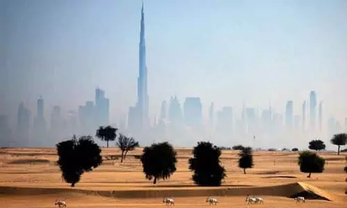 2024 में MENA क्षेत्र का अब तक का सबसे गर्म साल, हीटवेव और सूखा बढ़ा