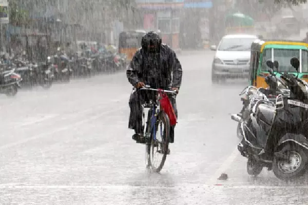 चेन्नई, तिरुवल्लूर जिलों में भारी बारिश का अनुमान; स्कूल बंद चेन्नई, तिरुवल्लूर जिलों में भारी बारिश का अनुमान; स्कूल बंद