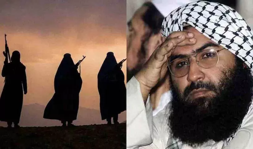 5000 मेंबर्स ऑनलाइन ट्रेनिंग Rs 500 फीस Jaish Women विंग्स ग्रोथ कर्व 5000 मेंबर्स ऑनलाइन ट्रेनिंग Rs 500 फीस Jaish Women विंग्स ग्रोथ कर्व