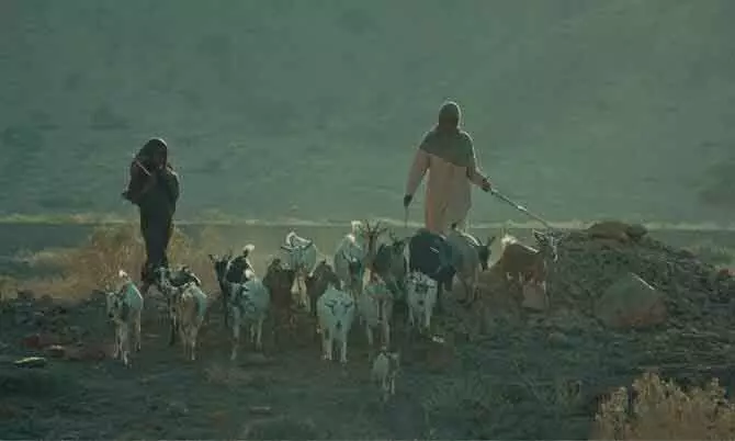 रेड सी फिल्म फेस्टिवल में ‘Hijra पहचान और आज़ादी की तलाश की कहानी रेड सी फिल्म फेस्टिवल में ‘Hijra पहचान और आज़ादी की तलाश की कहानी