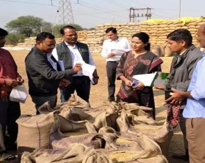 कलेक्टर दिव्या उमेश मिश्रा का मोखा-रजोली और पलारी धान खरीदी केन्द्र का आकस्मिक निरीक्षण कलेक्टर दिव्या उमेश मिश्रा का मोखा-रजोली और पलारी धान खरीदी केन्द्र का आकस्मिक निरीक्षण