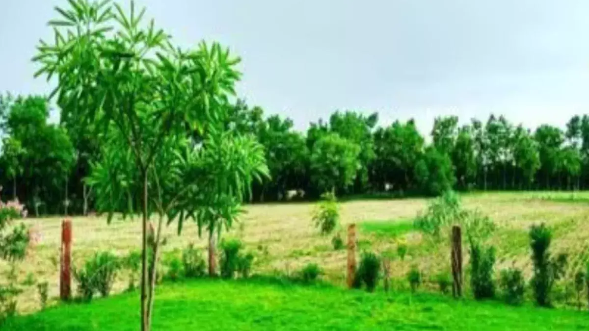 Kaushambi: कौशाम्बी में पर्यावरण और जीवनशैली में सुधार की योजना Kaushambi: कौशाम्बी में पर्यावरण और जीवनशैली में सुधार की योजना