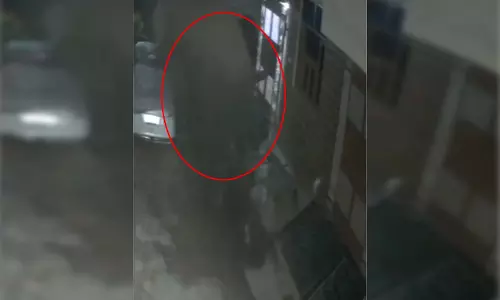 हाथी का तांडव, कॉलोनी में दिखा ऐसा मंजर...