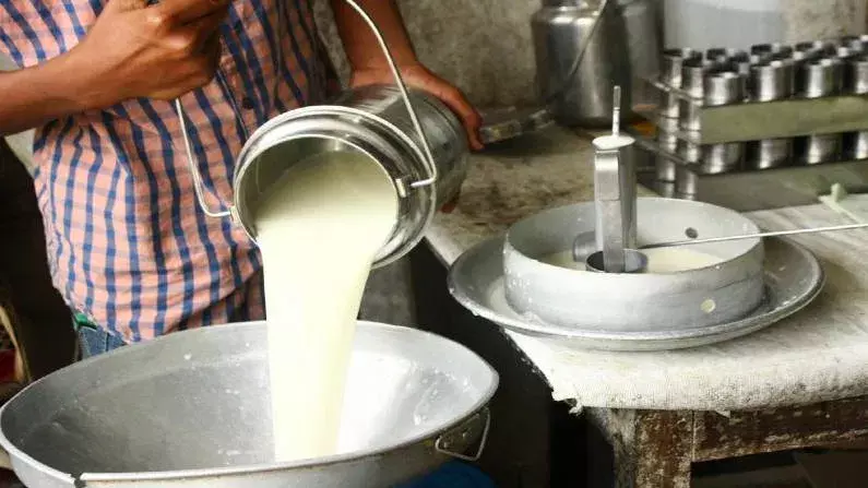 Chandigarh: हरियाणा में दुग्ध उद्योग को मिलेगा नया उड़ान Chandigarh: हरियाणा में दुग्ध उद्योग को मिलेगा नया उड़ान