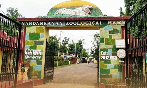 Nandankanan पहली बार अफ्रीकी चीते लाने के लिए तैयार
