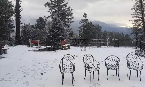 Shimla: सुंदरनगर और सोलन में बढ़ी ठिठुरन, मनाली को पीछे छोड़ा Shimla: सुंदरनगर और सोलन में बढ़ी ठिठुरन, मनाली को पीछे छोड़ा