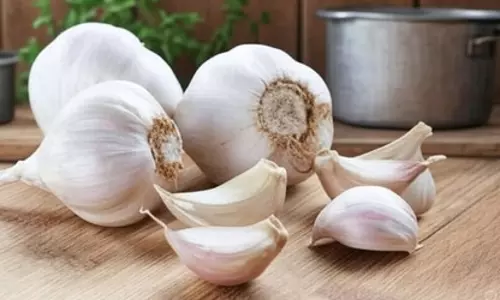 ब्लड शुगर को कंट्रोल करने में मदद करता है लहसुन, डायबिटीज के मरीजों के लिए बेहद फायेमंद