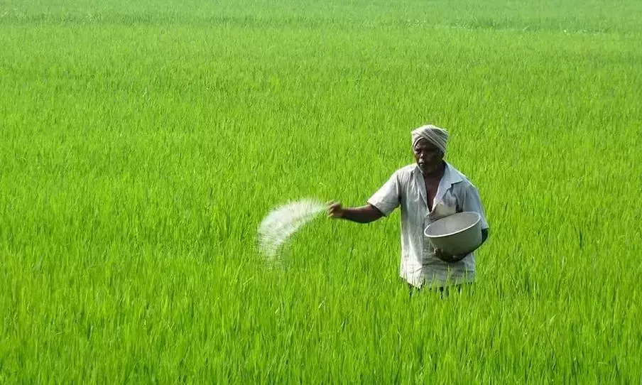 Telangana में 2025 खरीफ सीजन के लिए यूरिया की उपलब्धता पर्याप्त है अनुप्रिया पटेल Telangana में 2025 खरीफ सीजन के लिए यूरिया की उपलब्धता पर्याप्त है अनुप्रिया पटेल