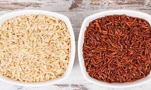 Brown Rice vs Red Rice.. कौन सा ज़्यादा पौष्टिक है..? सेहत के लिए आपको कौन सा खाना चाहिए..? Brown Rice vs Red Rice.. कौन सा ज़्यादा पौष्टिक है..? सेहत के लिए आपको कौन सा खाना चाहिए..?