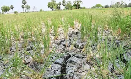 Telangana के कृषि क्षेत्र का संकट, टूटे हुए वादे, बढ़ता हुआ संकट