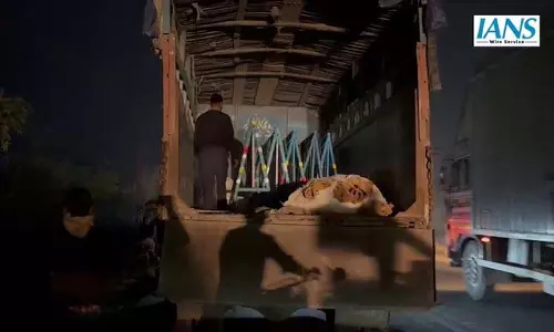 NH-12 पर सुरक्षा बढ़ाने के लिए 150 से अधिक स्पीड ब्रेकर और अस्थायी ट्रैफिक गार्ड तैनात NH-12 पर सुरक्षा बढ़ाने के लिए 150 से अधिक स्पीड ब्रेकर और अस्थायी ट्रैफिक गार्ड तैनात