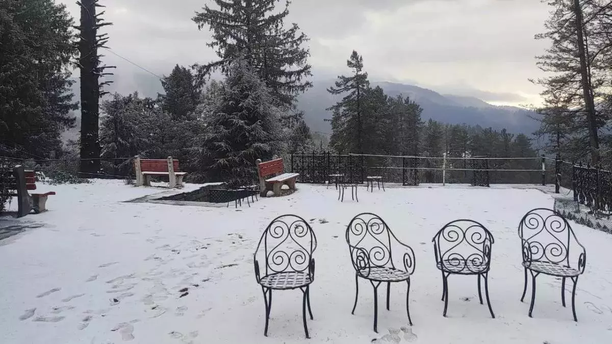 Shimla: सुंदरनगर और सोलन में बढ़ी ठिठुरन, मनाली को पीछे छोड़ा Shimla: सुंदरनगर और सोलन में बढ़ी ठिठुरन, मनाली को पीछे छोड़ा