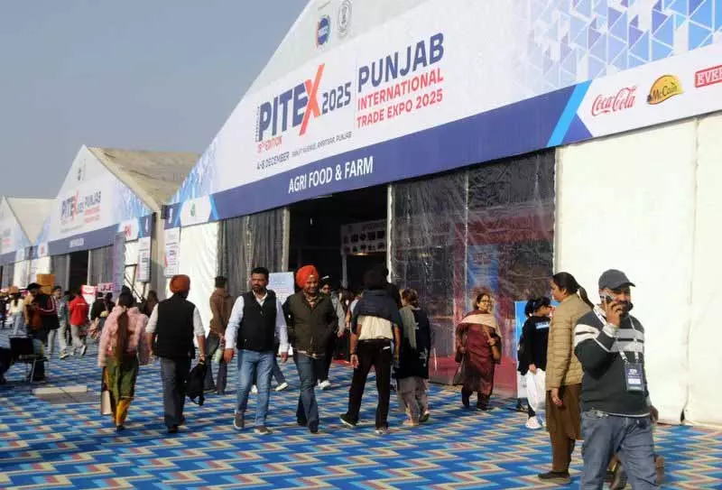 महिला उद्यमियों से PITEX में GST के फायदों का लाभ उठाने का आग्रह किया महिला उद्यमियों से PITEX में GST के फायदों का लाभ उठाने का आग्रह किया