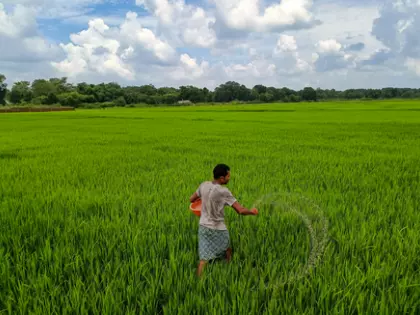 बढ़ती डिमांड को देखते हुए भारत-रूस फर्टिलाइजर साझेदारी बढ़ती डिमांड को देखते हुए भारत-रूस फर्टिलाइजर साझेदारी