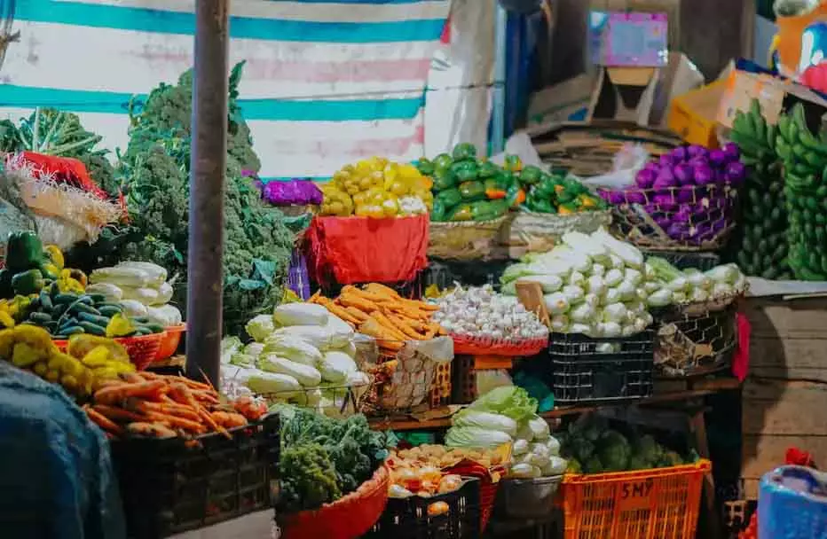 सर्दियों की सब्जियों में Pesticides से कैंसर का खतरा, एक देश ने दी चेतावनी सर्दियों की सब्जियों में Pesticides से कैंसर का खतरा, एक देश ने दी चेतावनी